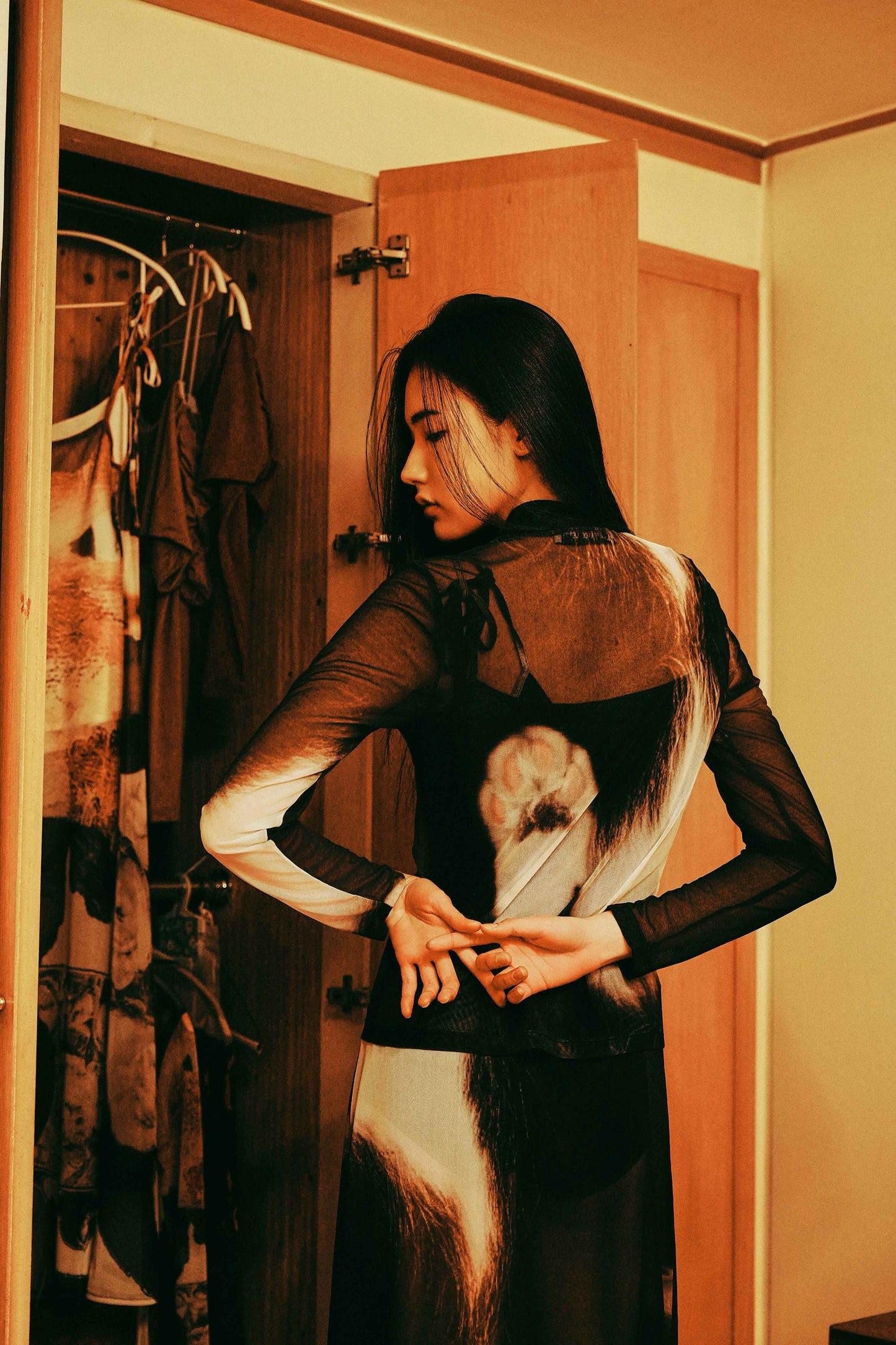 Feline Long Sleeve Mesh Top