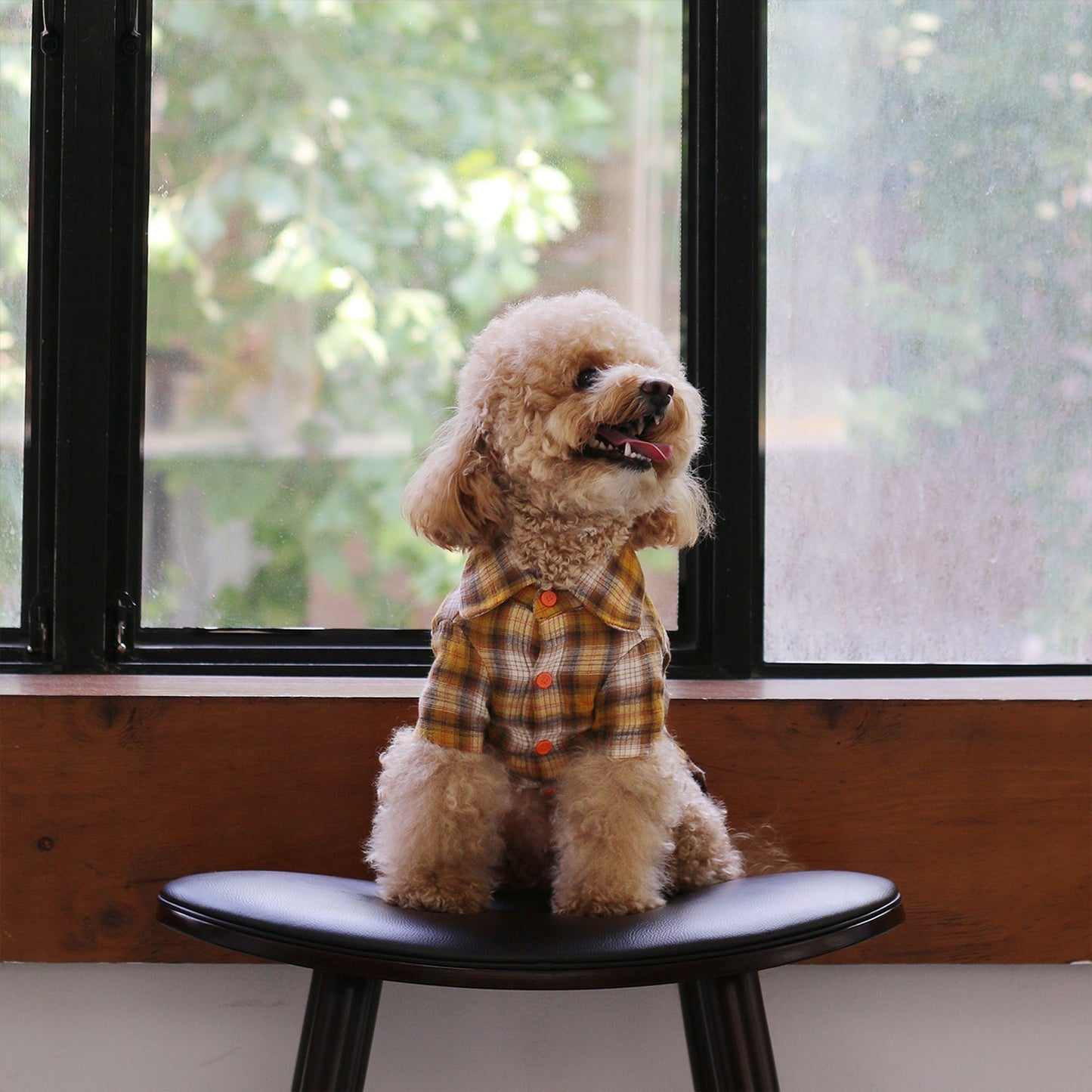 Jung-Manger's Acoustic Shirt -mustard