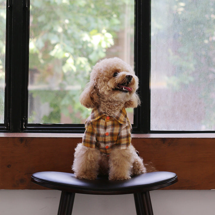 Jung-Manger's Acoustic Shirt -mustard 