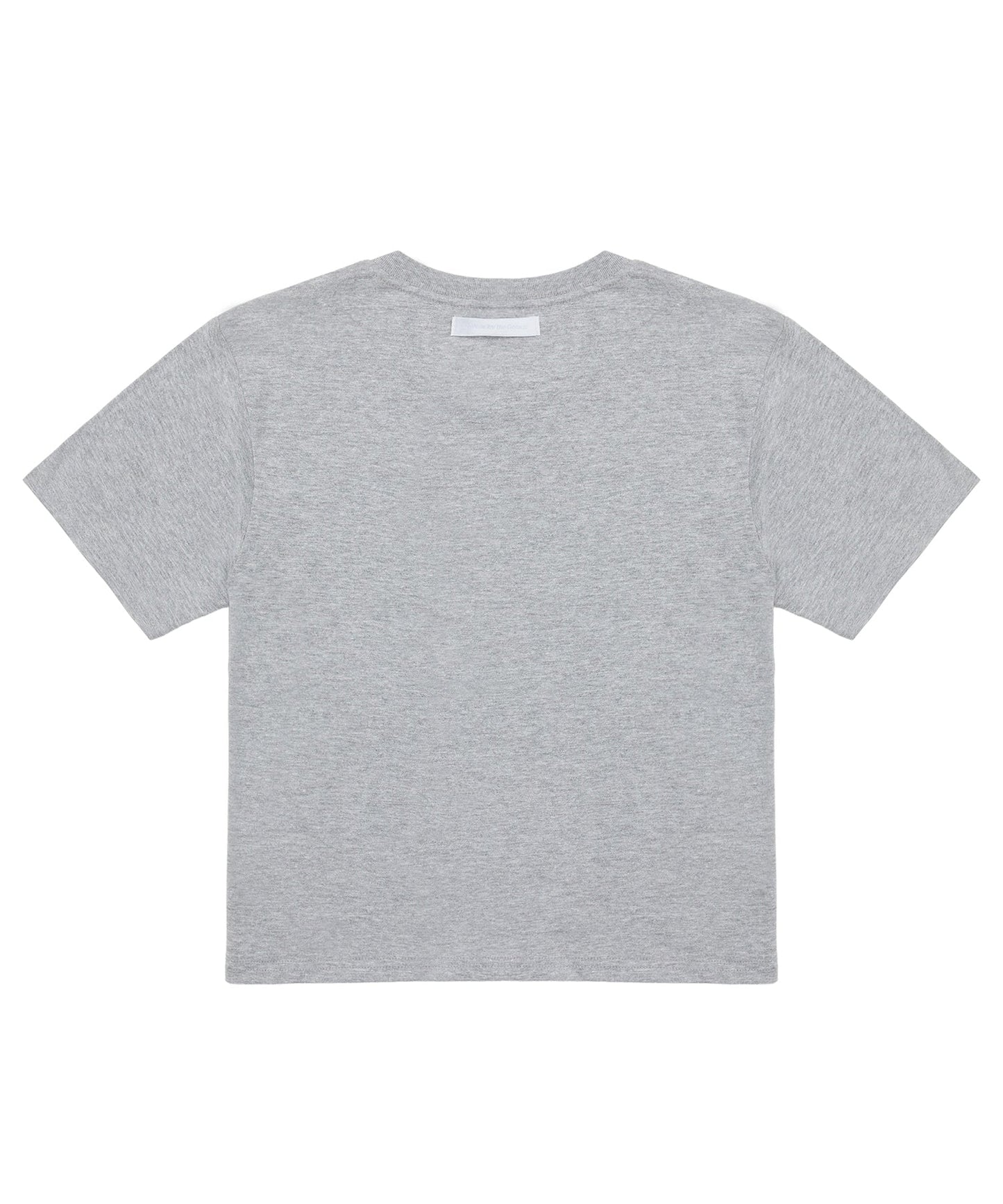 【C Wear シーウエア】 Oversized Crop T-Shirt Gray