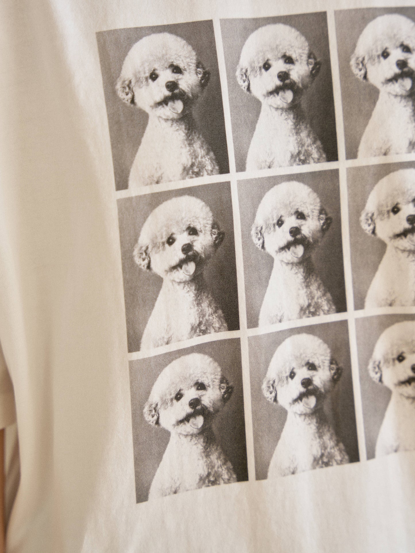 Animal Short Sleeve – Ivory