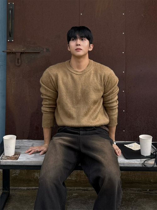 Siena Brushed Crop Knit