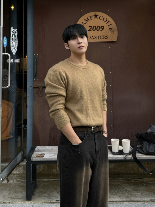 Siena Brushed Crop Knit