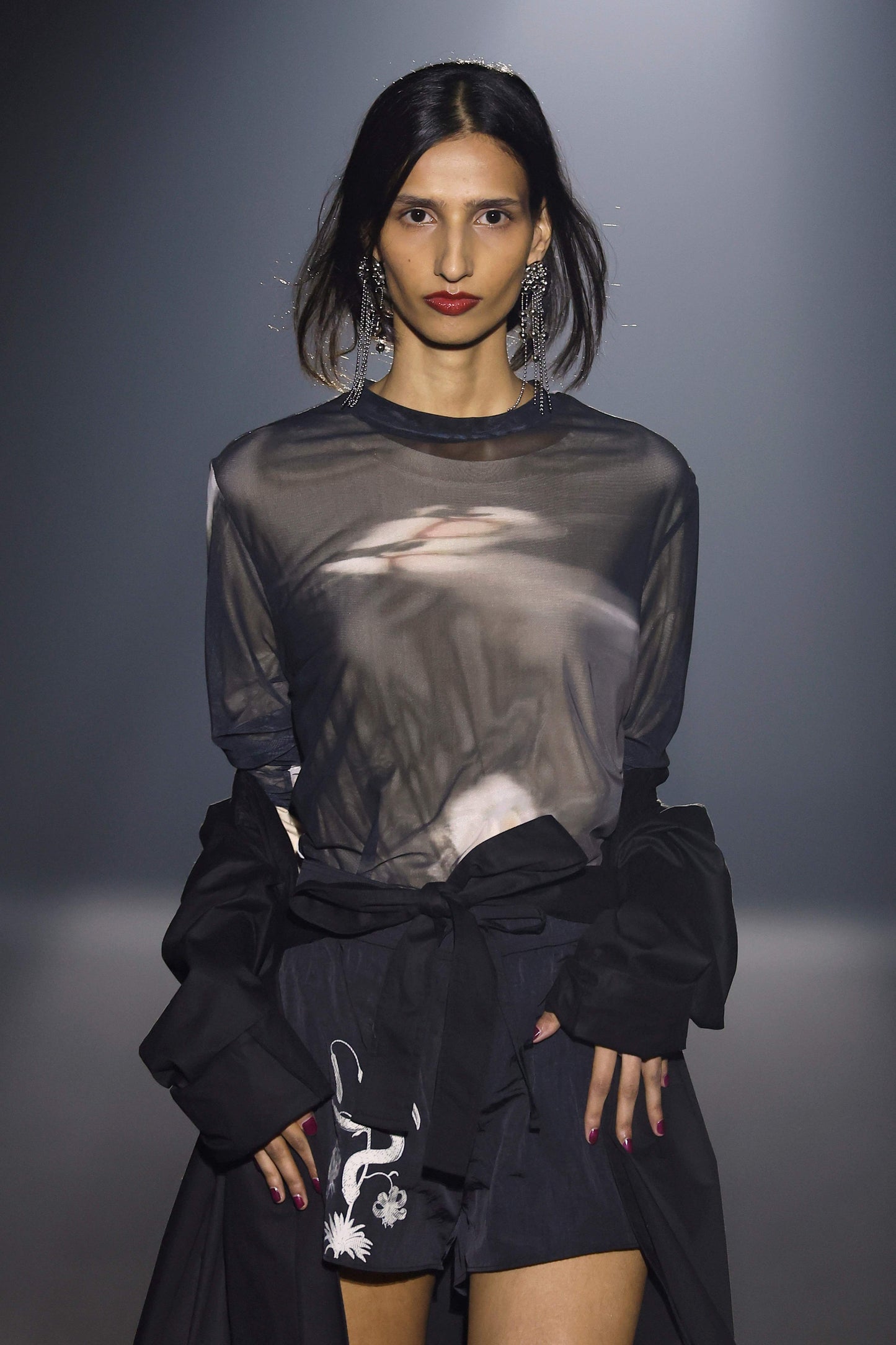 Feline Long Sleeve Mesh Top
