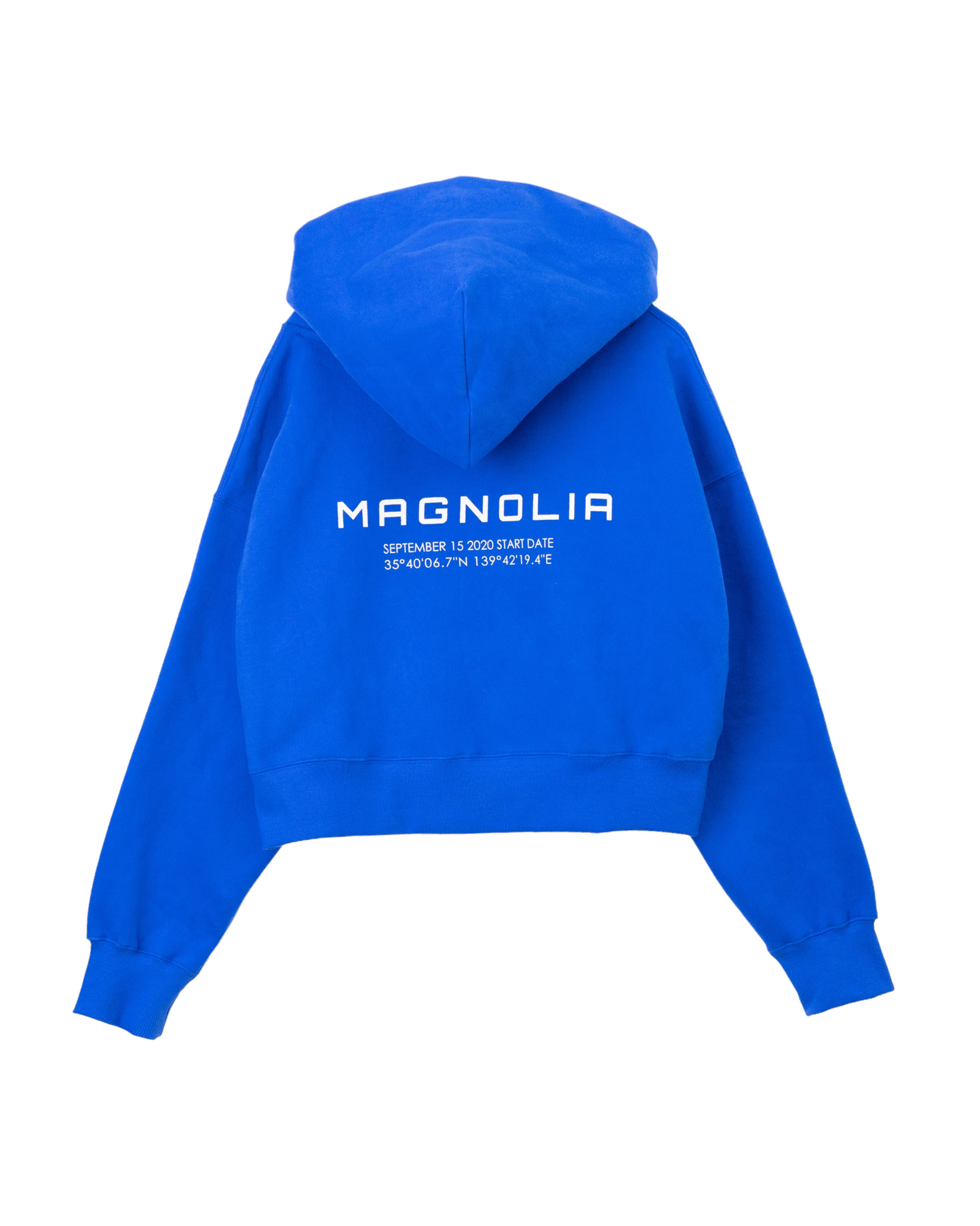 Print Cropped Hoodie-BLUE