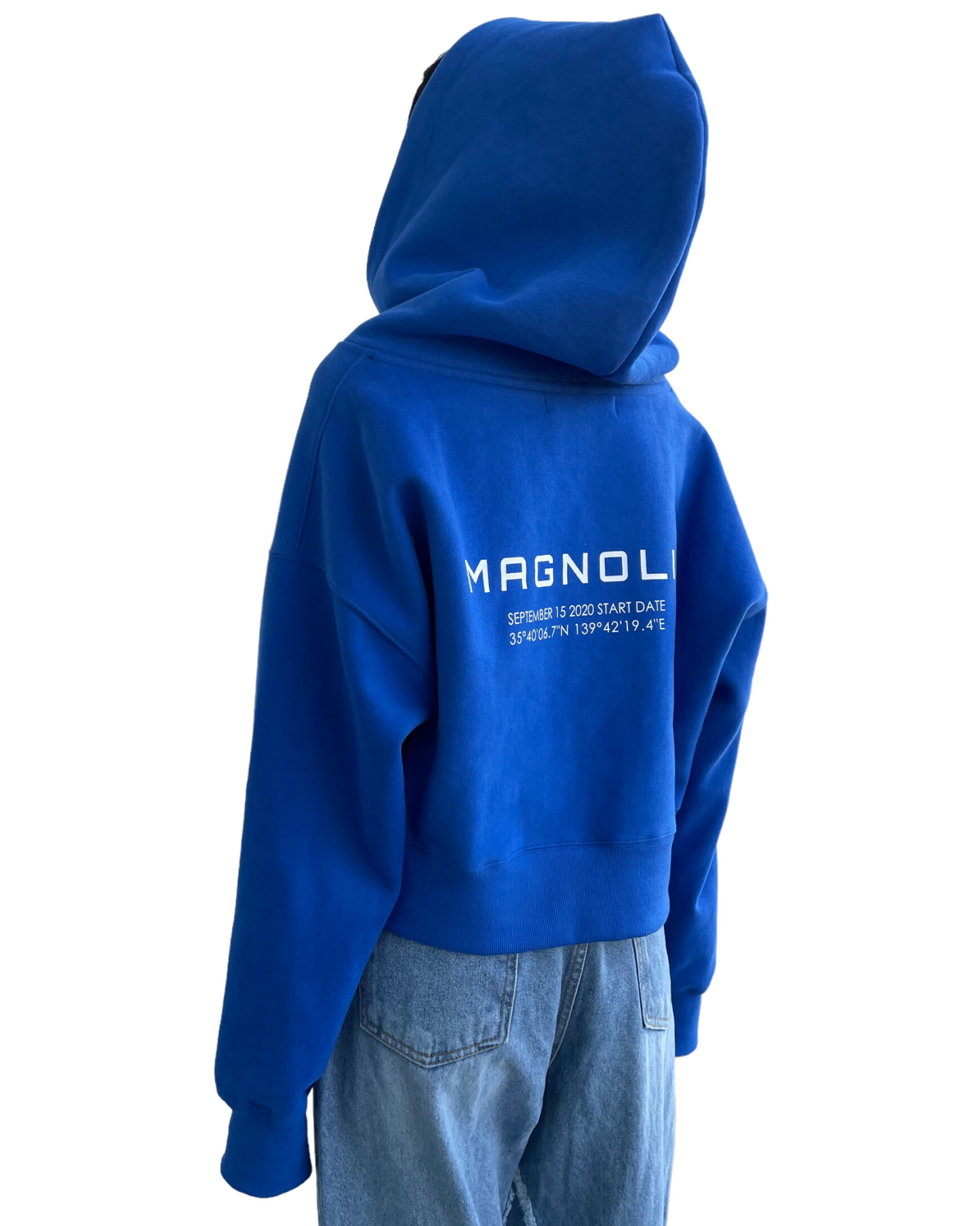 Print Cropped Hoodie-BLUE