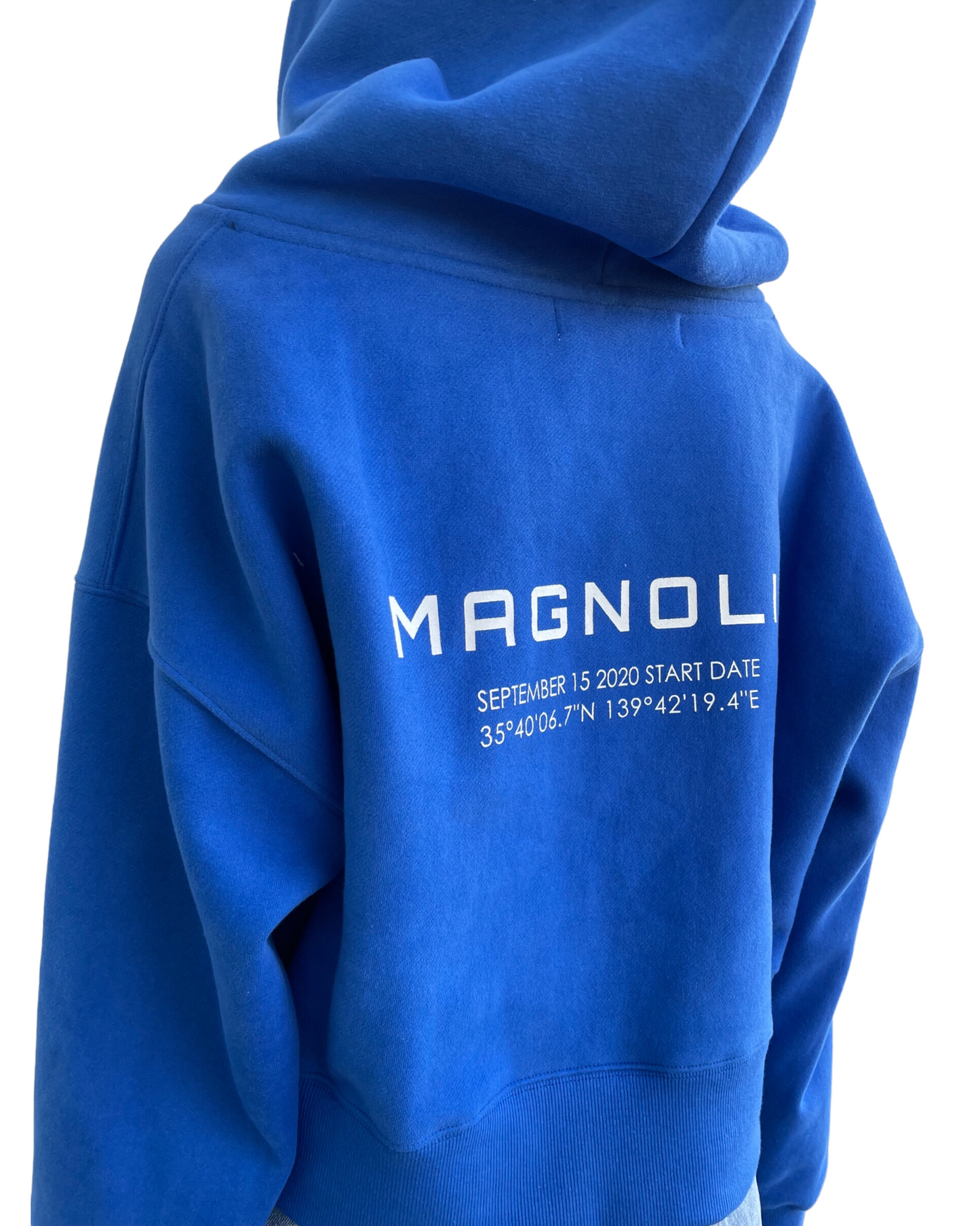 Print Cropped Hoodie-BLUE