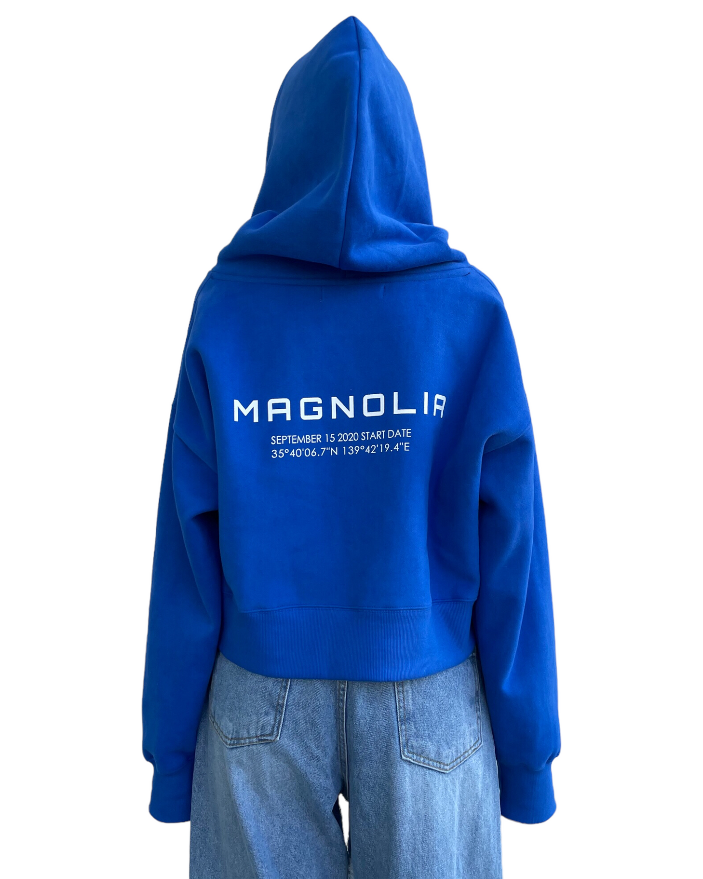 Print Cropped Hoodie-BLUE