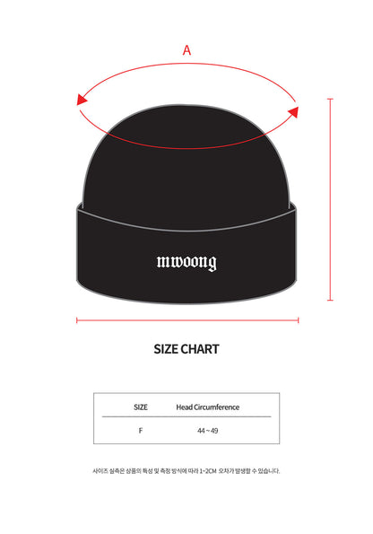 Basic logo beanie