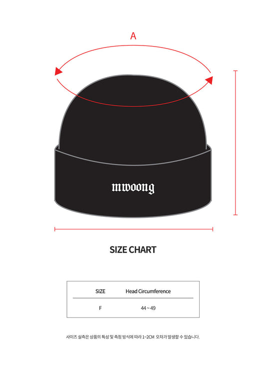 Basic logo beanie