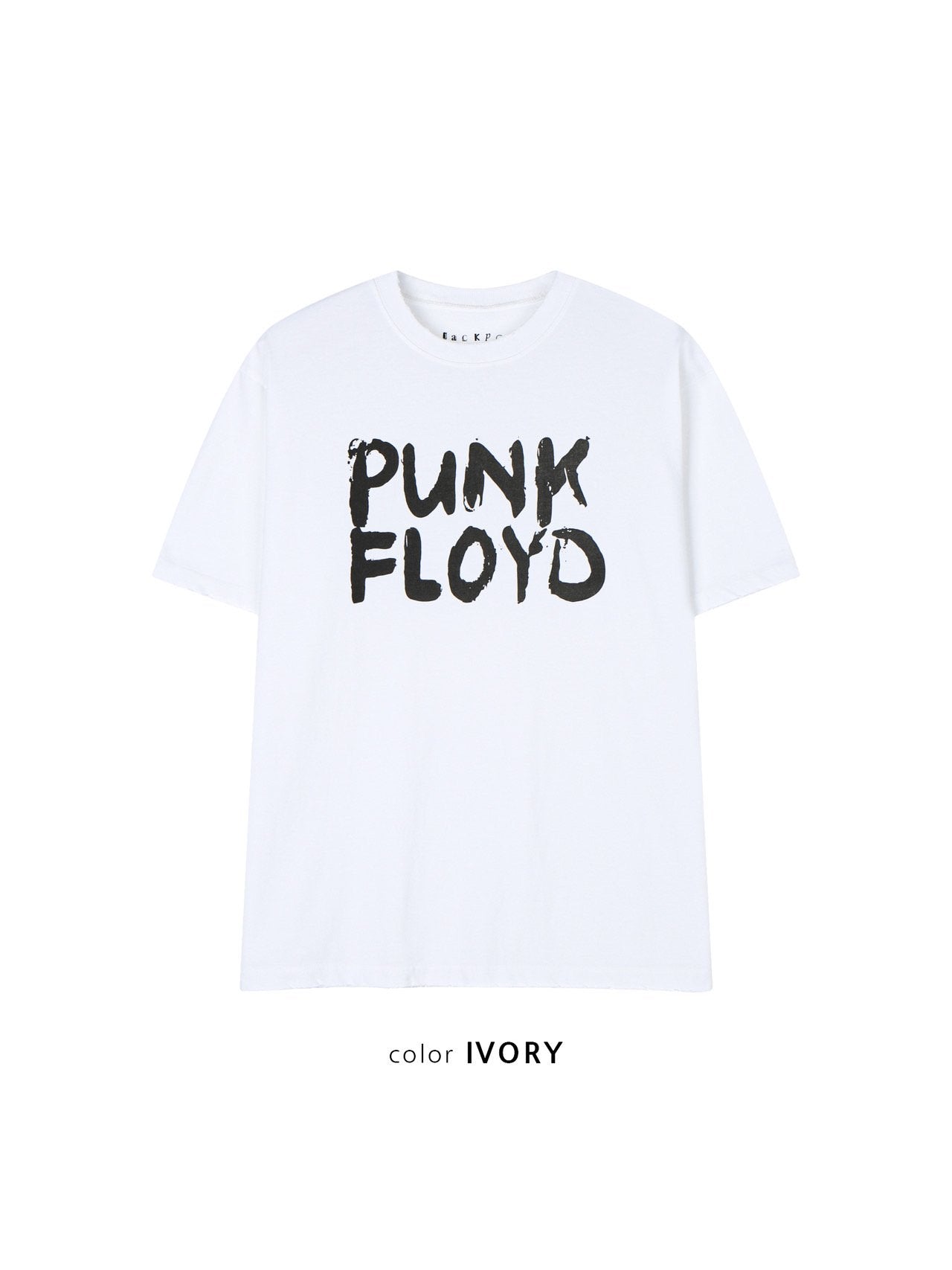 Punk Floyd T-Shirt