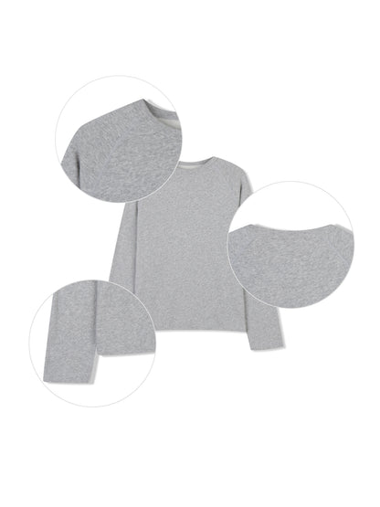 Brushed Cotton Raglan Tee GRAY flat lay