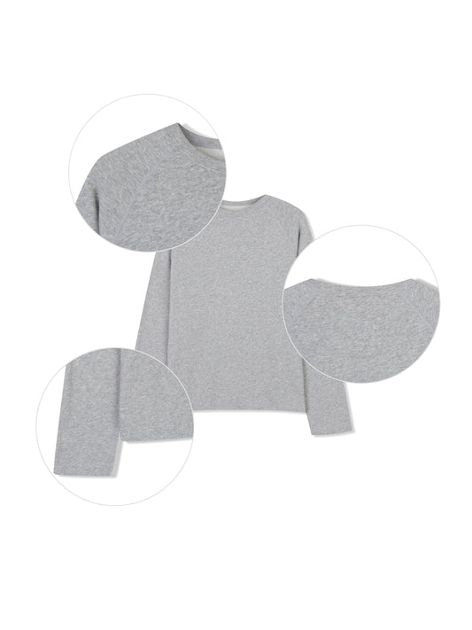 Brushed Cotton Raglan Tee GRAY flat lay