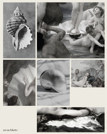 Shell Earring